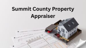 Exquisite Summit County Property Taxes Due By July 31 Artwork for Your Screen Exquisite Summit County Property Taxes Due By July 31 Artwork for Your Screen